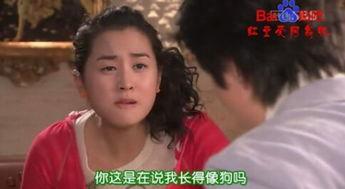 电视剧女汉子在线观看,热血青春，逆袭成长记