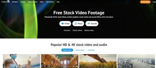 免费视频资源网站,海量内容任你畅享