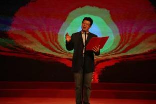 丁建华朗诵视频,情感共鸣的音韵之旅