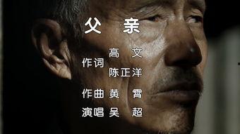 父曲视频在线观看,在线领略经典音乐之美