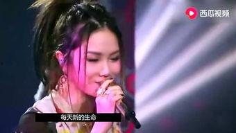 龙哥娱乐爆料视频下载,热门视频下载幕后真相大曝光！