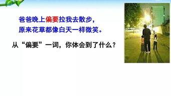 一年级左右教学视频,启蒙成长每一天