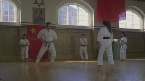 人马座符号 在线播放,人马座符号的神秘之旅