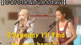 carole和tuesday在线播放,在线重温经典剧集的视听盛宴