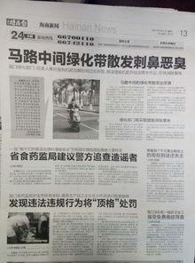 海口新闻媒体爆料,重大事件引发社会关注